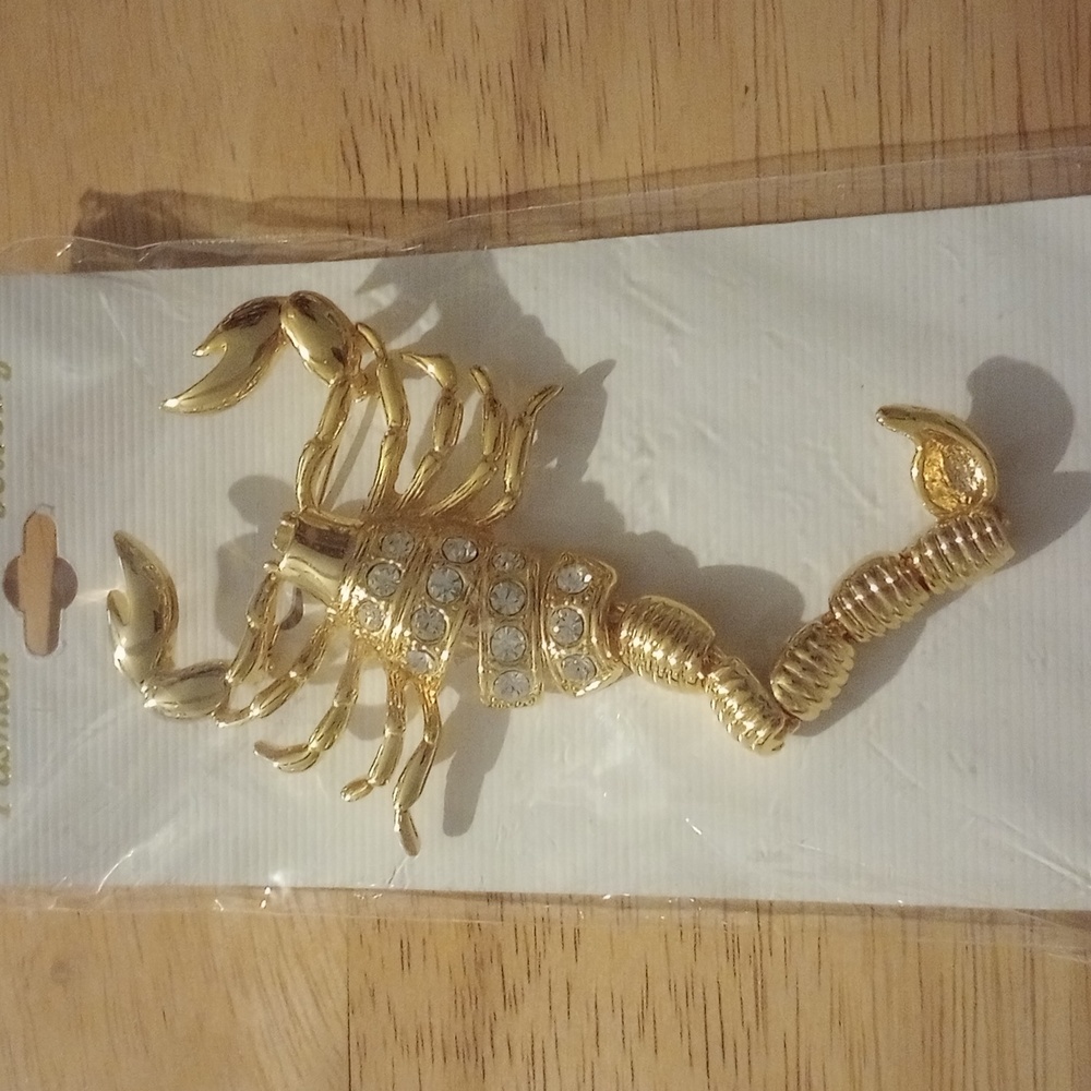 Scorpion Brooch Pin